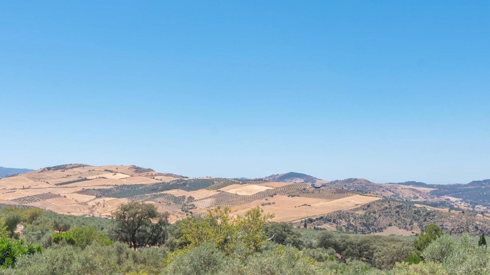 Casa Pulirio Antequera - La Higuera By Ruralidaysヴィラ エクステリア 写真